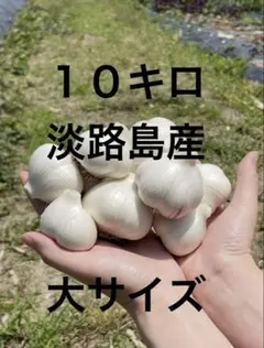 本日採れたて！生にんにく 5キロ 淡路島産 無農薬1 - メルカリ