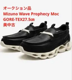 サ*ウ様 Mizuno Wave Prophecy Moc GORE-TEX27