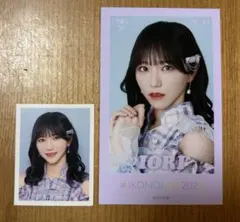 =LOVE イコラブ 野口衣織 ミニフォト 証明写真 絶アイ