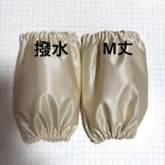 Item thumbnail for item 97c86248-8529-48bd-a07e-cf47468196aa