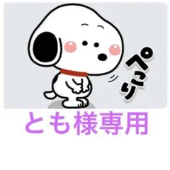 専用