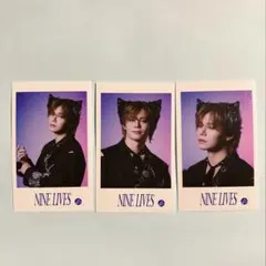 Item thumbnail for item 8bdcaccd-7489-461a-8702-e233c1686c56