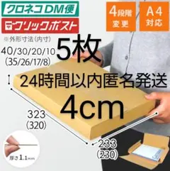 Item thumbnail for item d2c87521-17fc-4524-8677-13b0626fa6da