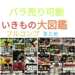 いきもの大図鑑 フルコンプ まとめ売り バラ売り可能