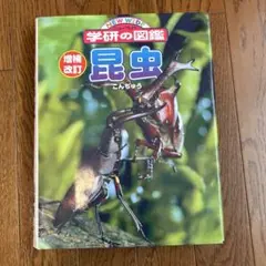 昆虫図鑑