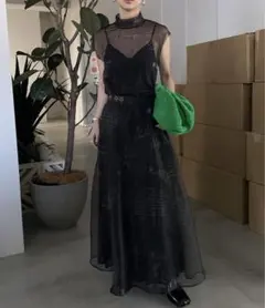【AMERI】HOROSCOPE SHEER PLEATS SKIRTのサムネイル