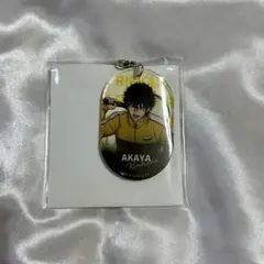 テニプリフェスタ 2025 切原赤也 缶バッジ 11点 テニプリ 切原赤也 テニフェス2025 缶バッジ - メルカリ