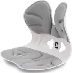 【ドイツ レッドドット賞受賞ブランド】DEZIYUA第二世代 姿勢矯正 椅子