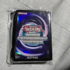 エ*グ様 遊戯王引退品【デッキ×2・WCQスリーブ・汎用カード等】 遊戯王引退品【デッキ×2・WCQスリーブ・汎用カード等】