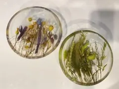 Item thumbnail for item 6780d155-f504-4bea-afa9-d09e2bd3d38d