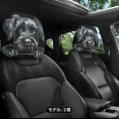 Item thumbnail for item a54cf243-892d-4674-9936-bc6e77b0dfb2