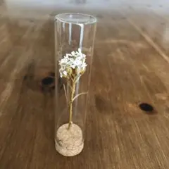 Item thumbnail for item b9d97b5f-6e67-41dc-9379-bbc2cb877a84