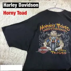 【Harley Davidson】Horny Toad ファイヤーパターンのサムネイル