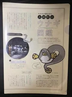 大津町のウナギ図鑑A4クリアファイル