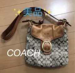 美品 COACH コーチ レザー ショルダーバッグ シグネチャー ヴィンテージ風