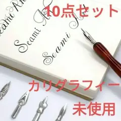 カリグラフィー　ニブ/ペン先　各種30個　ホルダー2本セット！ カリグラフィー ニブ/ペン先 各種30個 ホルダー2本セット！ - メルカリ