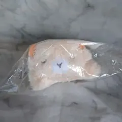 Item thumbnail for item b2dcafdb-5351-49dd-abff-1f9fe9cb9d2b