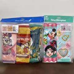 東京ディズニーランド ミニタオル5枚セット