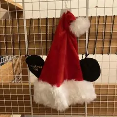 ディズニーリゾーミッキー耳付きサンタ帽子