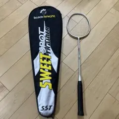black knight SWEET SPOT TRAINER 908