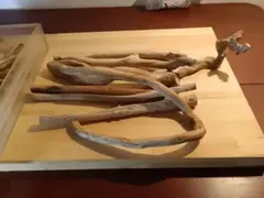 Item thumbnail for item b086a305-8cac-41b9-b3aa-5ba38155cc9f