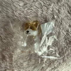 うちの子のけだまだま　コーギー　ガチャ　毛玉入れ　柴犬　秋田犬　チワワ