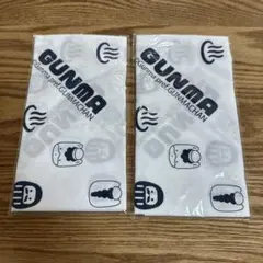 GUNMAキャラクター手ぬぐい2枚セット