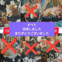 19.パネル生地販売＆オーダー受付中〜おしゃれ猫