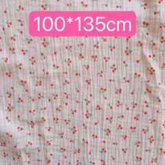 Item thumbnail for item 46b340e1-1a88-4791-8f2f-17c20a131838