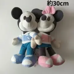 新品非売品クレーンゲーム景品ミッキー・ミニー ぬいぐるみ 約30cmディズニー