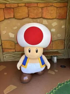 専用