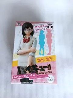 未開封 ハイキュー DXF フィギュア マネージャースペシャル!! 清水潔子