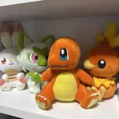 バラ売り不可 ポケモンセンターぬいぐるみ2個セット おまけ付き - メルカリ