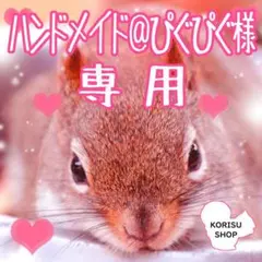 ★ハンドメイド＠ぴぐぴぐ様 専用★