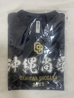 新品【沖縄尚学】2025年 甲子園出場記念Tシャツとタオル 応援グッズ