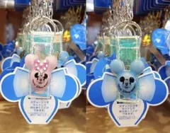 【新品】東京ディズニーリゾート カチューシャホルダー　ペアセット