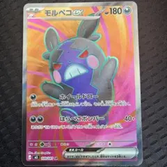 モルペコEX 180HP ポケモンカード - メルカリ