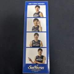 西田優大 シーホース三河