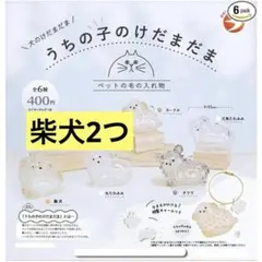 けだまだま　ガチャ　柴犬2つ