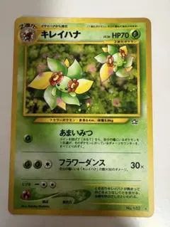 ポケモンカード キレイハナ 182 007/106 2005年 2枚セット - メルカリ