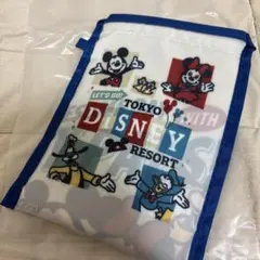 新品 ディズニーリゾート ディズニーランド エコバッグ