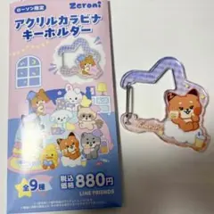 ゼロニ アクリルカラビナキーホルダー テュニニ
