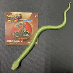 オオアナコンダ　ブックレット スーパーアニマル　&co デアゴスティーニ