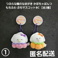 つぶらな瞳のなまがき かぼちゃぱんつ もちふわ ぷちマスコットBC 全2種①