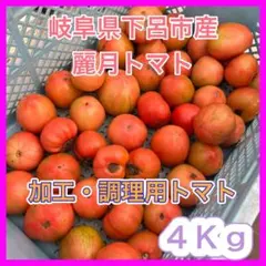 【訳あり品】農家直送 大玉トマト 麗月 4Kg 加工用 加熱用 飛騨トマトのサムネイル
