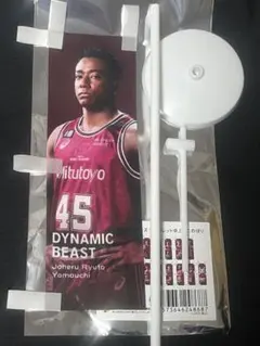 川崎ブレイブサンダース ドゥシャン・リスティッチ カード 卓上ミニ