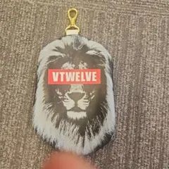 V12　ライオンポーチ　小物入れのサムネイル