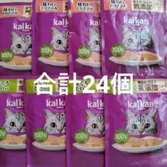 旧パッケージ】カルカンお魚ミックス まぐろ・かつお・白身魚入り 70g