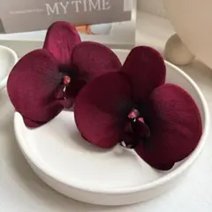 Item thumbnail for item 660f199d-293c-41d1-a2a3-08003ac34e5b