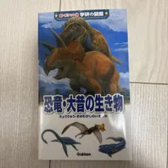 Item thumbnail for item 012b3aaa-2305-4eb6-bec7-68d5d2e6bc22